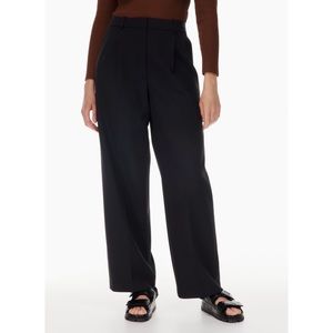 Aritzia pleated pants - high-waist, wide-leg